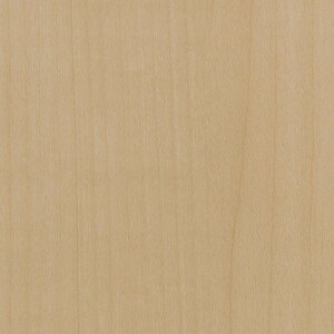 TQc@REATEC AebN SܕtσtB@ؖ AEbh@RW-4845