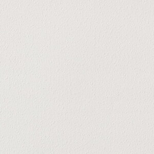 REATEC AebN@SܕtσtB@J[@փhAtB@GD-4909