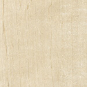 TQc@REATEC AebN SܕtσtB@Ebh@TC-4208