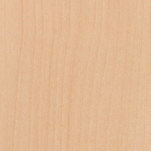 TQc@REATEC AebN SܕtσtB@Ebh@TC-4210