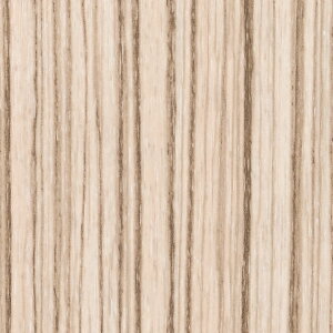 TQc@REATEC AebN SܕtσtB@Ebh@TC-4244