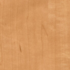 サンゲツ　REATEC リアテック 粘着剤付き化粧フィルム　ウッド　TC-4263