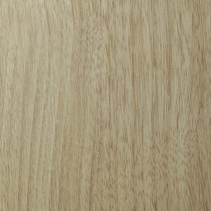 3M(TM) _CmbN (TM) tB ؖځ@WG-2460