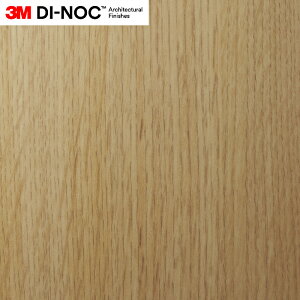 3M(TM) _CmbN(TM) tB ؖځ@FW-2424