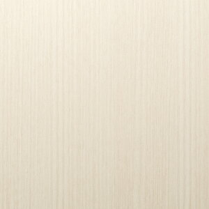 3M(TM) _CmbN (TM) tB ؖځ@WG-1343