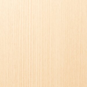 3M(TM) _CmbN(TM) tB ؖځ@WG-1344