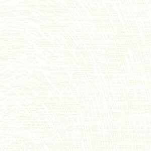 �I���e�B�m�@�}�e���A���@���^�� �@VQ-18174C