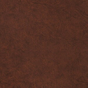 3M(TM) _CmbN(TM) tB DRV[Y@ փhAptB@U[@LE-517DR(iDR-012)