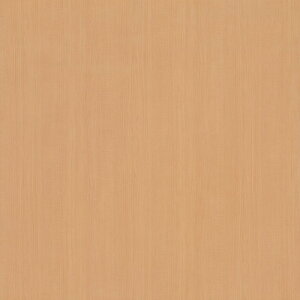 3M(TM) _CmbN(TM) tB ؖځ@WG-1814