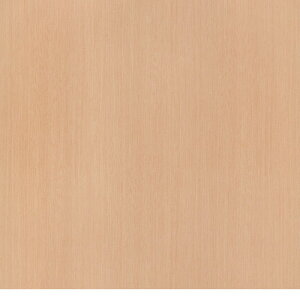 3M(TM) _CmbN(TM) tB ؖځ@WG-877