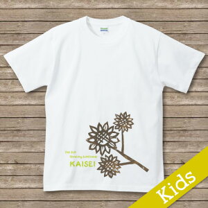 oYj  TVc OtVc@ ysunflower zaj v[g j j̎q ̎q Mtg OTVc