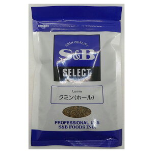 yGg[Ń|Cg19{mISSԌ10OFFzSBZNg N~z[ 100g 1