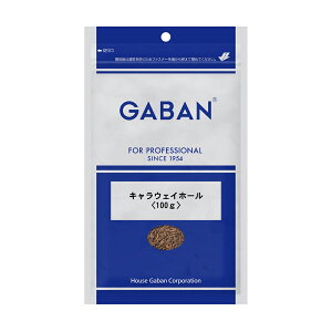 yGg[Ń|Cg10{zyP[X̔ 121P[XzMo LEFC z[ 100g 1 GABAN XpCX h