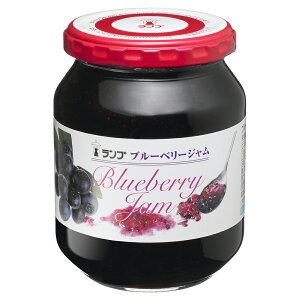 yGg[Ń|Cg10{zyP[X̔ 121P[XzQP v u[x[W 380g 1