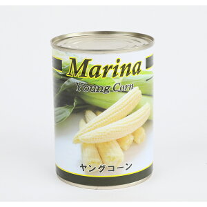 yGg[Ń|Cg10{mIzyP[X̔ 241P[XzOR[S 3 1