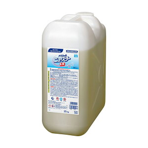 yGg[Ń|Cg19{mISSԌ10OFFzyP[X̔ 11P[Xzԉ ANVj[X^[LS x 25kg 1