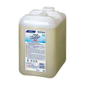 yGg[Ń|Cg19{mISSԌ10OFFzyP[X̔ 11P[Xzԉ ANVj[X^[LS x 13kg 1