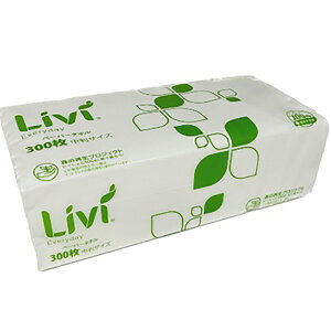 yGg[Ń|Cgő10{zyP[X̔ 401P[XzrB y[p[^IGufB300SPM[220×250mm 300 1