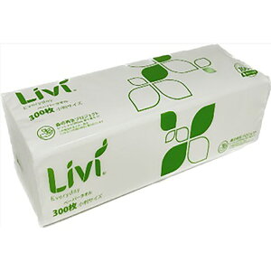 yGg[Ń|Cgő10{zrB y[p[^IGufC300SP~j220×160mm 300 1