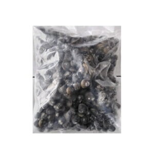 y9/25 P2{zkt 1kg 1