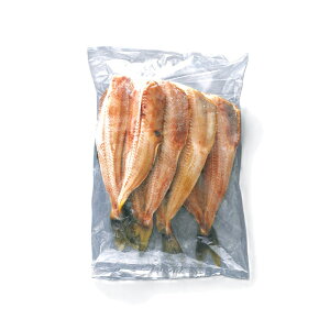 yGg[Ń|Cg19{mISSԌ10OFFzȂقJM 10 1