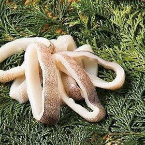 yGg[Ń|Cgő12{zyP[X̔ 101P[Xz^CJO 57cm 1kg 1