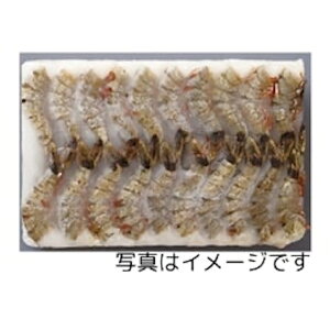 yGg[Ń|Cgő12{zyP[X̔ 61P[XzGr lVAkt 1.8kg 1