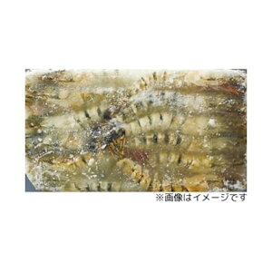 yGg[Ń|Cgő12{zBT LGr 25 1.3kg 1