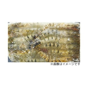 yGg[Ń|Cgő12{zyP[X̔ 61P[XzBT LGr 30 1.3kg 1