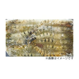 y9/25 P2{zyP[X̔ 61P[XzBT LGr 50 1.3kg 1