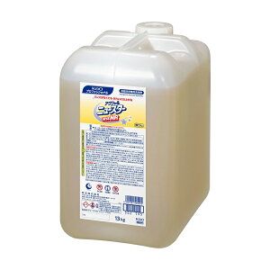 yGg[Ń|Cg10{zyP[X̔ 11P[Xzԉ ANVj[X^[NR 13kg 1{