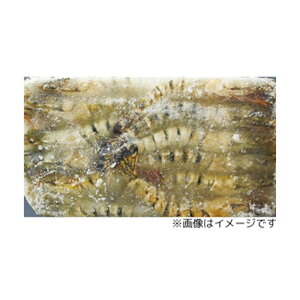 yGg[Ń|Cgő12{zyP[X̔ 61P[XzBT L 20 01pc