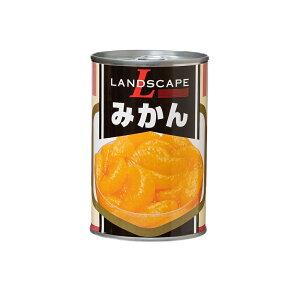 yP[X̔ 241P[XzhXP[v ݂ 425g Ō`234g 4 EO 1