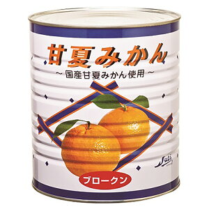 yP[X̔ 61P[XzXg[ ÉĂ݂ u[N 1 1