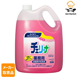 y[J[񂹕iz ԉ KAO `F[i 4.5L 4{1P[X 