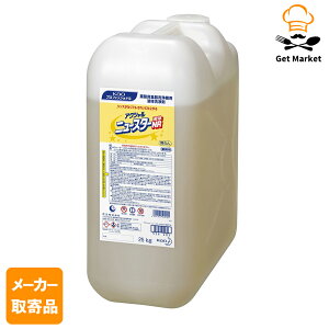 y[J[񂹕iz ԉ KAO ANV j[X^[ t NR 25kg 1{1P[X 