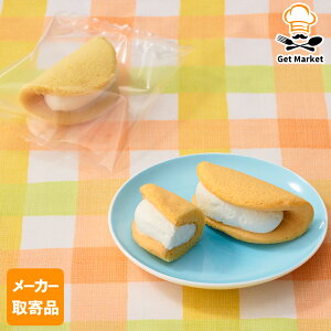 yGg[Ń|Cg12{mzy[J[ize[u}[N ~jIbg v[(Fe) 12g×40 3P[X fU[g