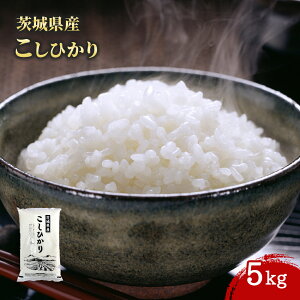 yP[X̔ 61P[Xzcč 錧Y Ђ 5kg 1 ߘa6NY  RVqJ  Mtg 5L ܃L Get Market e\[X Qbg}[Pbg