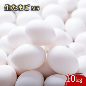 y}\ P2{zyP[X̔ 11P[Xz܂ 10kg 1 MSTCY ʎq  Ɩp e ƖpHi    TCY vp vdl Get Market e\[X Qbg}[Pbg