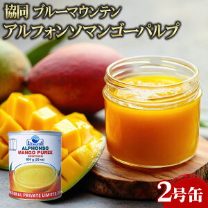 yGg[Ń|Cg19{mISSԌ10OFFzyP[X̔ 241P[Xz u[}Ee AtH\}S[pv 2 1 Ɩp e ƖpHi   T