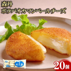 yGg[Ń|Cg19{mISSԌ10OFFzyP[X̔ 601P[XzXO |epIJ}x[`[Y 70g 20 Ɩp e ƖpHi   TCY vp vd