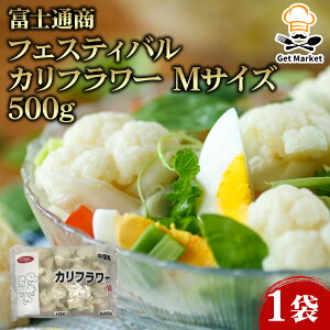 yGg[Ń|Cg10{mzxmʏ tFXeBo Jt[ MTCY 500g 1