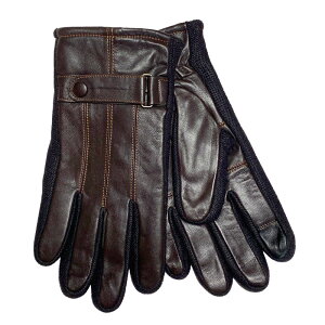   Y U[ X}zΉ h rWlX {v O[u rv V[vU[ X[vXL  v ubN  uE F ʋ ʊw ^b`plΉ Mtg ̓ 