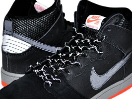 dunk high prm shield