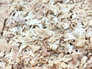 yVNEzؑ咰JbgiYEƖpj̃`hi͕ۑ@4ȉ̏iłANxێ̂߃N[yⓀցzŏoׂĂ܂B