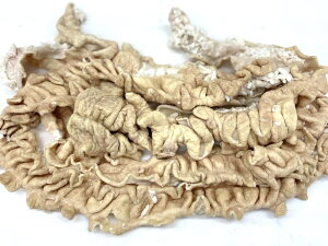 yVNEzؑ咰LiYEƖpj̃`hi͕ۑ@4ȉ̏iłANxێ̂߃N[yⓀցzŏoׂĂ܂B