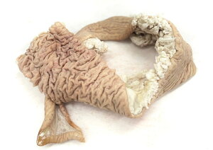 yVNEz؃eb|[iYEƖpj̃`hi͕ۑ@4ȉ̏iłANxێ̂߃N[yⓀցzŏoׂĂ܂B