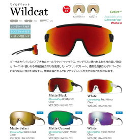 2023-2024 SMITHスミス 自転車 サイクル サングラス Sunglass Wildcat　ワイルドキャット バイク　BIKE クロマポップ アジアンフィット