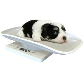 デジタルペット体重計 両生類 爬虫類 蛇 亀 猫 ハムスター 小型犬 うさぎ用 小型 精密 ポータブル 電池式 最大10kg