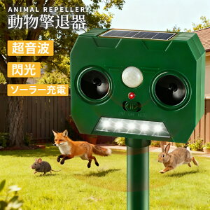 y2025NVz ފ L悯 g \[[[d 悯 悯 ǔL΍ ԊOPIRZT[ gXs[J[ LEDtbVCg ҋ@ IP66hho 120°L͈ 12mm L